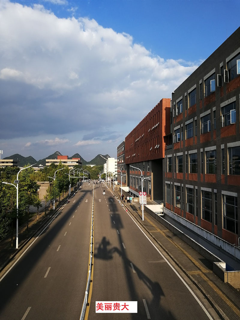 貴州某高校為本校區內600多盞路燈更換LED燈頭及加裝太陽能LORA調光控制模塊，達到了節能和智能控制的目的。(圖1)